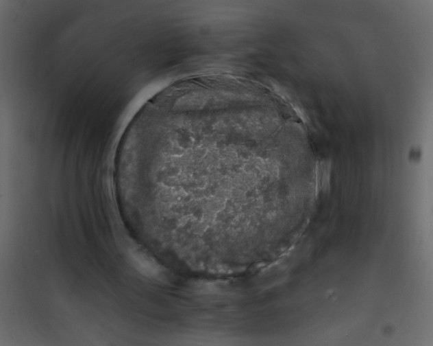 X0000101110147200807171944