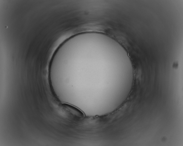 X0000101110148200807171944