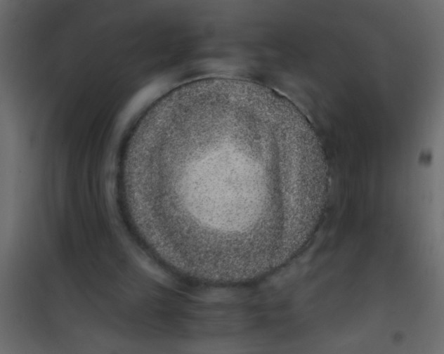 X0000101110149200807171944