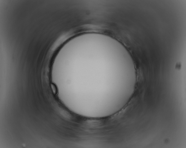 X0000101110150200807171944