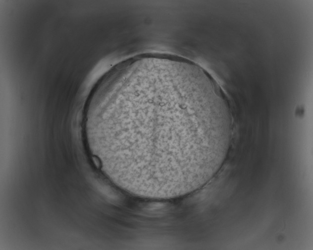 X0000101110151200807171944