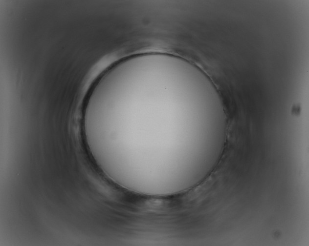 X0000101110152200807171944