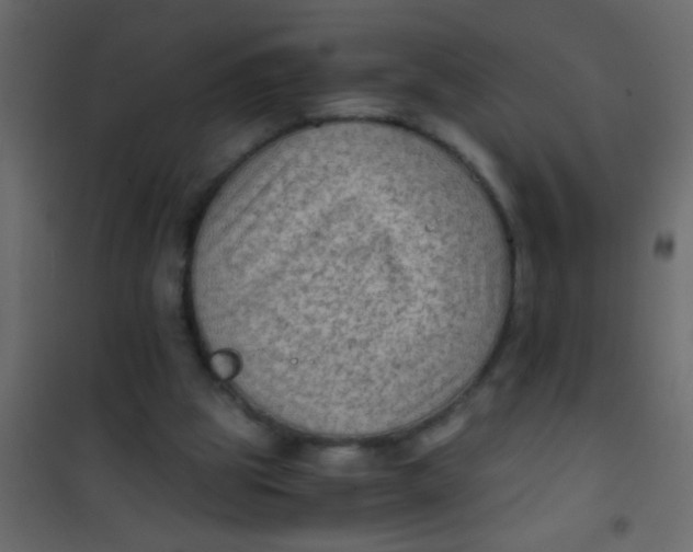 X0000101110153200807171944