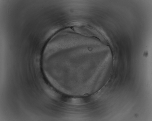 X0000101110154200807171944