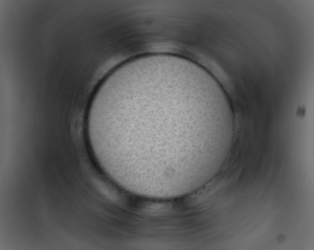 X0000101110155200807171944