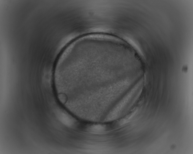 X0000101110156200807171944