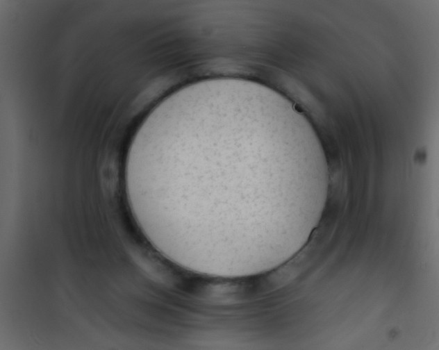 X0000101110158200807171944