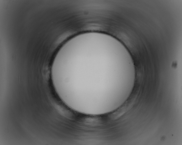 X0000101110160200807171944