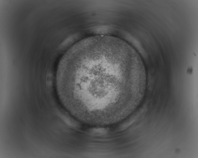 X0000101110161200807171944