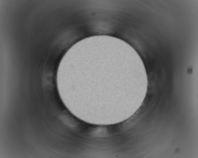 X0000101110162200807171944