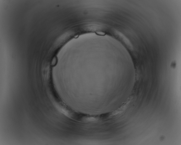 X0000101110163200807171945