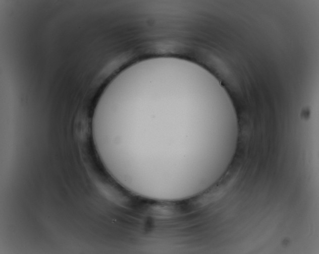 X0000101110164200807171945