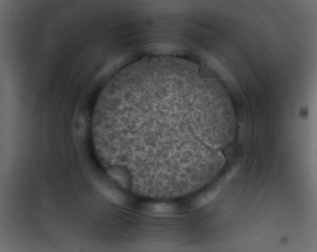 X0000101110165200807171945