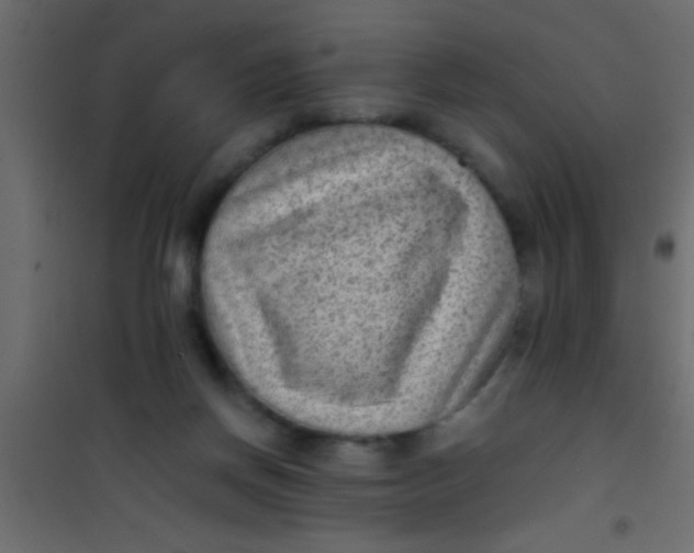 X0000101110166200807171945