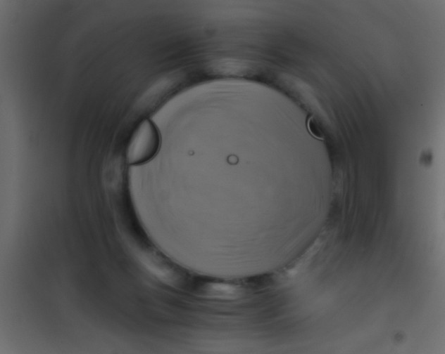 X0000101110167200807171945