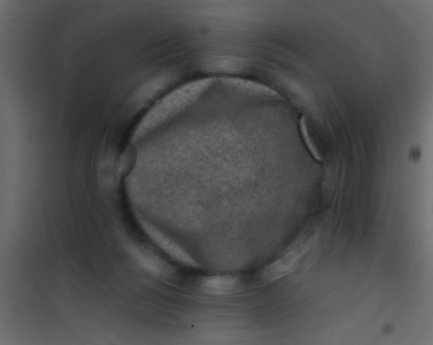 X0000101110168200807171945