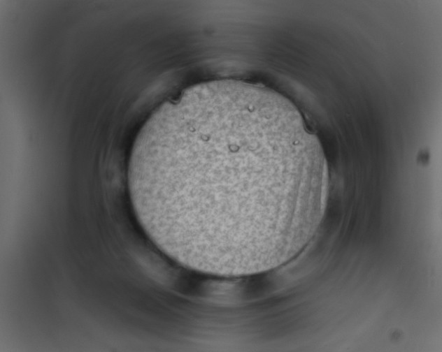 X0000101110170200807171945