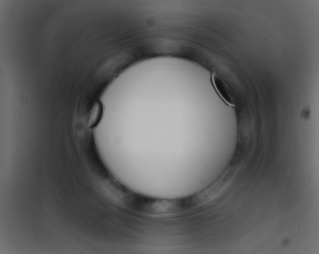 X0000101110172200807171945