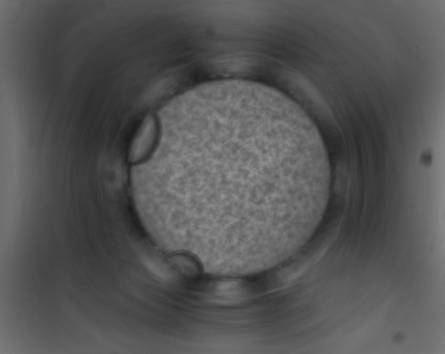 X0000101110173200807171945