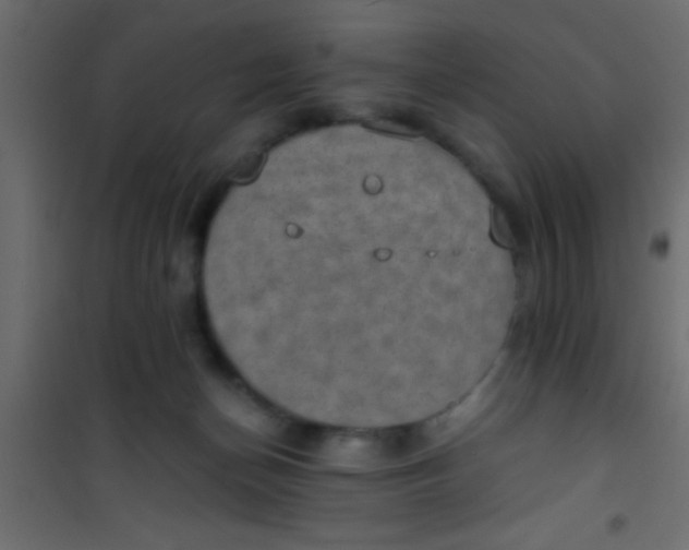 X0000101110174200807171945