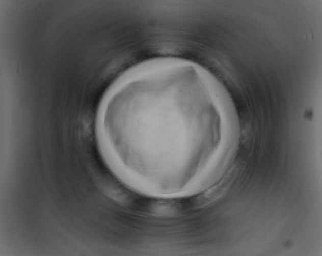 X0000101110175200807171945