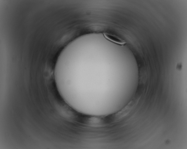 X0000101110176200807171945