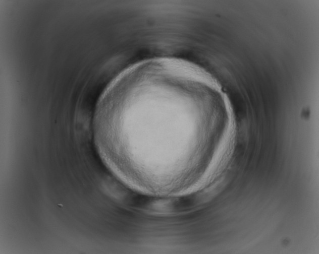 X0000101110178200807171945