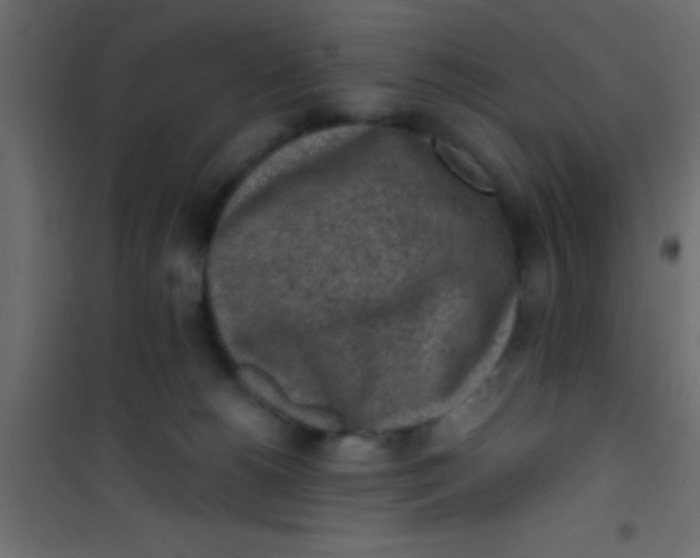 X0000101110180200807171945