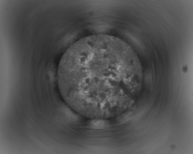 X0000101110181200807171945