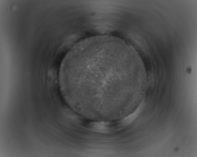 X0000101110182200807171945