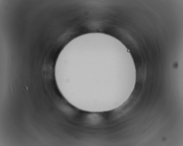 X0000101110183200807171945