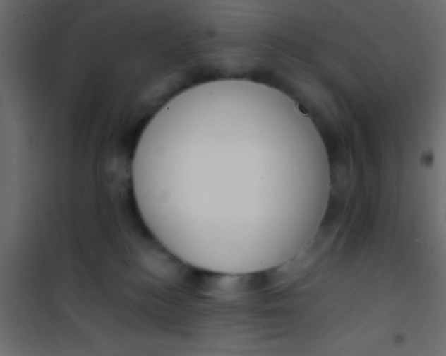 X0000101110184200807171945