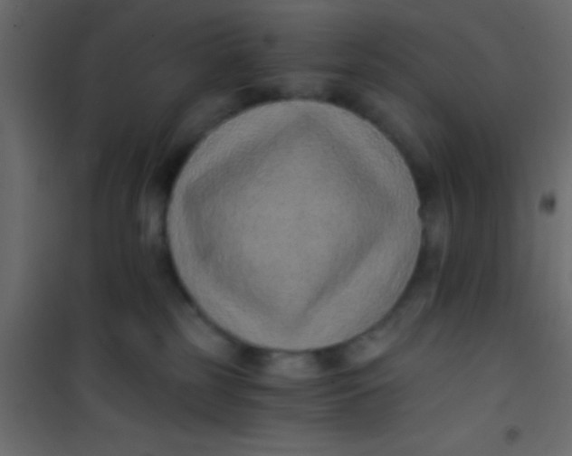 X0000101110185200807171945