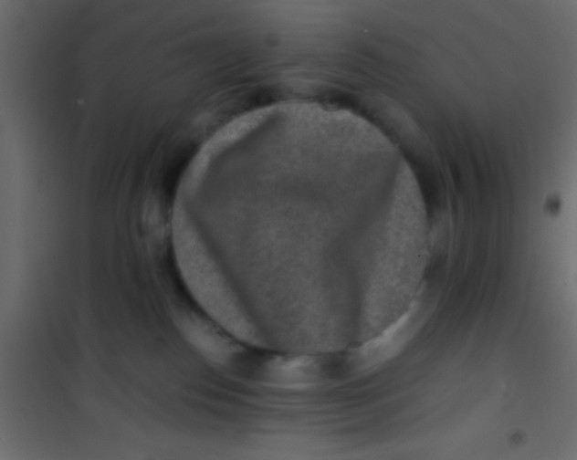 X0000101110186200807171945