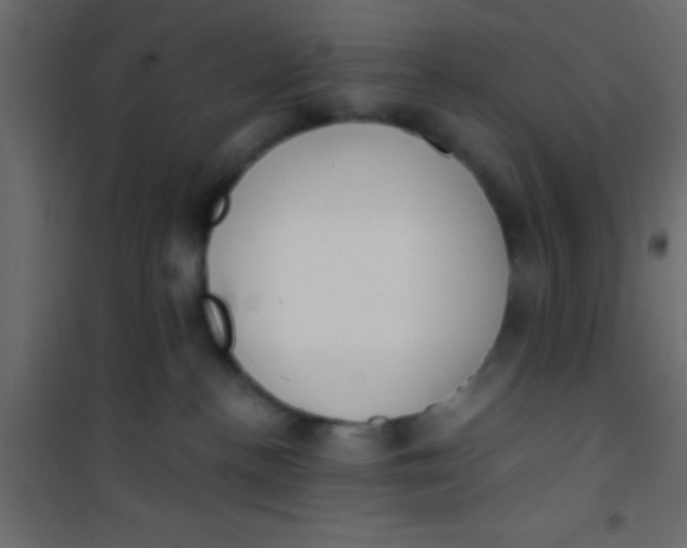 X0000101110188200807171945