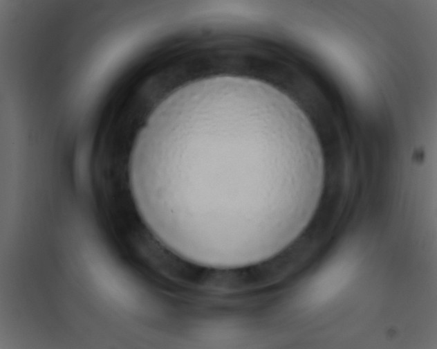 X0000101110189200807171945