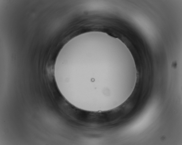 X0000101110190200807171945