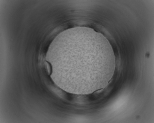 X0000101110191200807171945