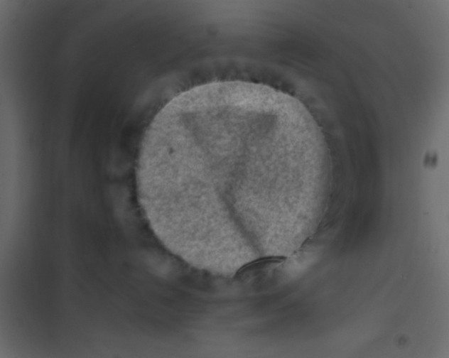 X0000101110192200807171945