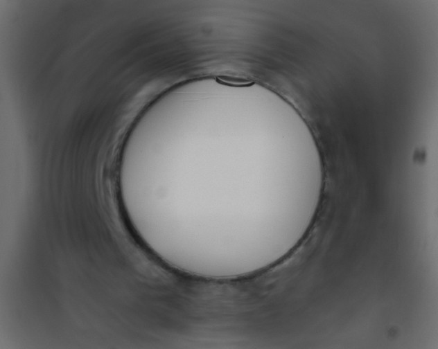 X0000101110193200807171944