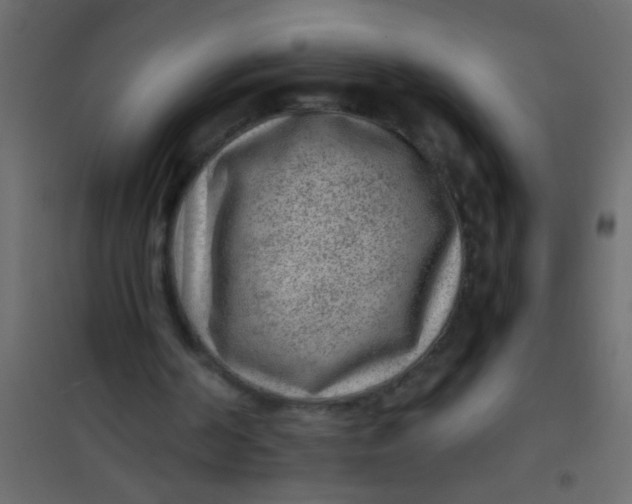 X0000101110194200807171944