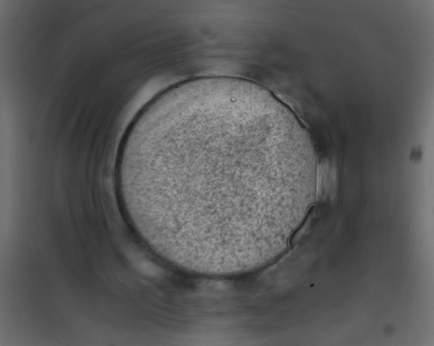 X0000101110195200807171944