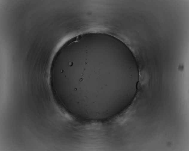 X0000101110196200807171944