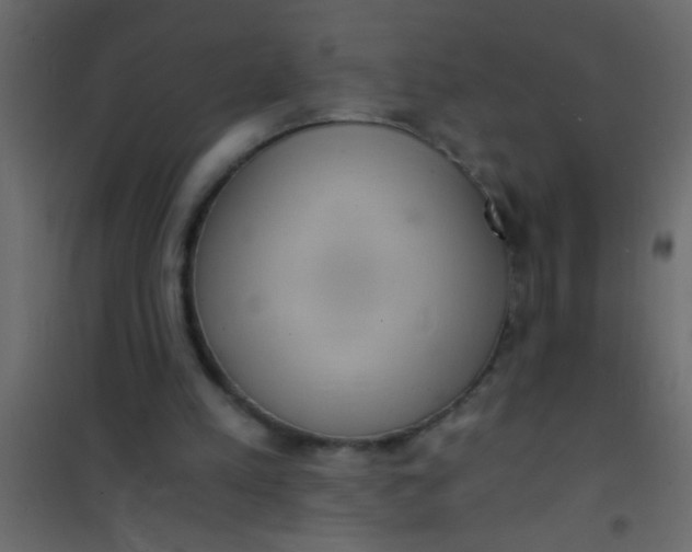 X0000101110197200807171944