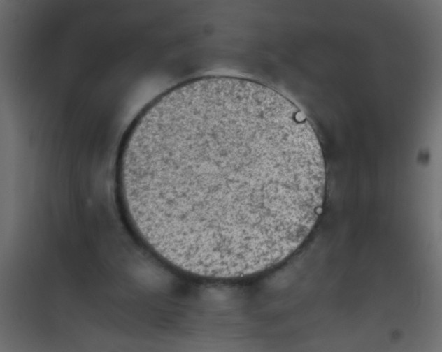 X0000101110199200807171944