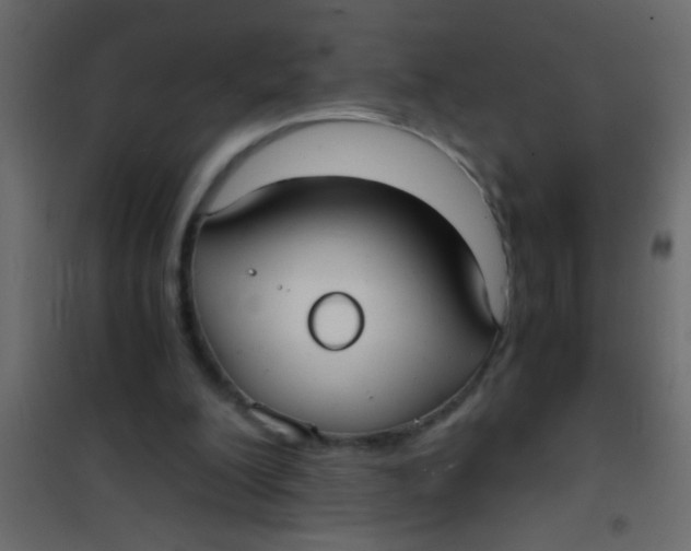 X0000101110200200807171944