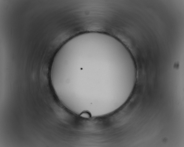 X0000101110201200807171944