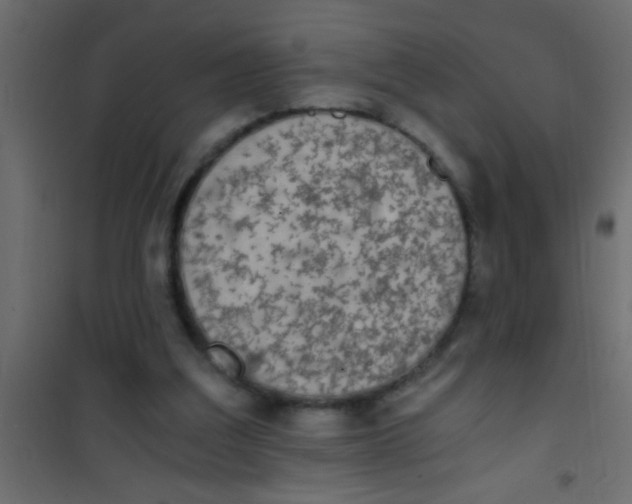 X0000101110203200807171944