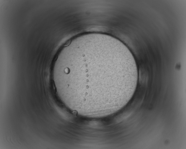 X0000101110204200807171944