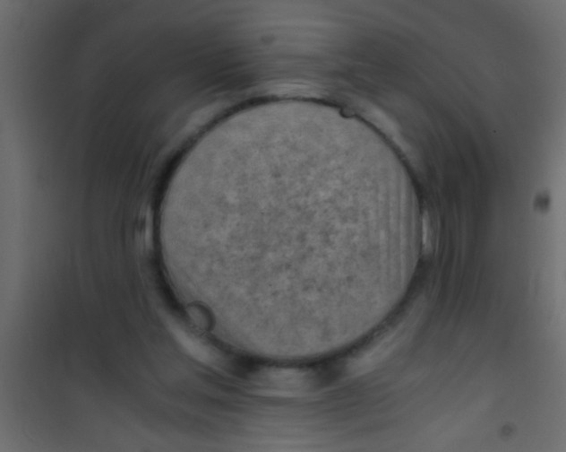 X0000101110205200807171944